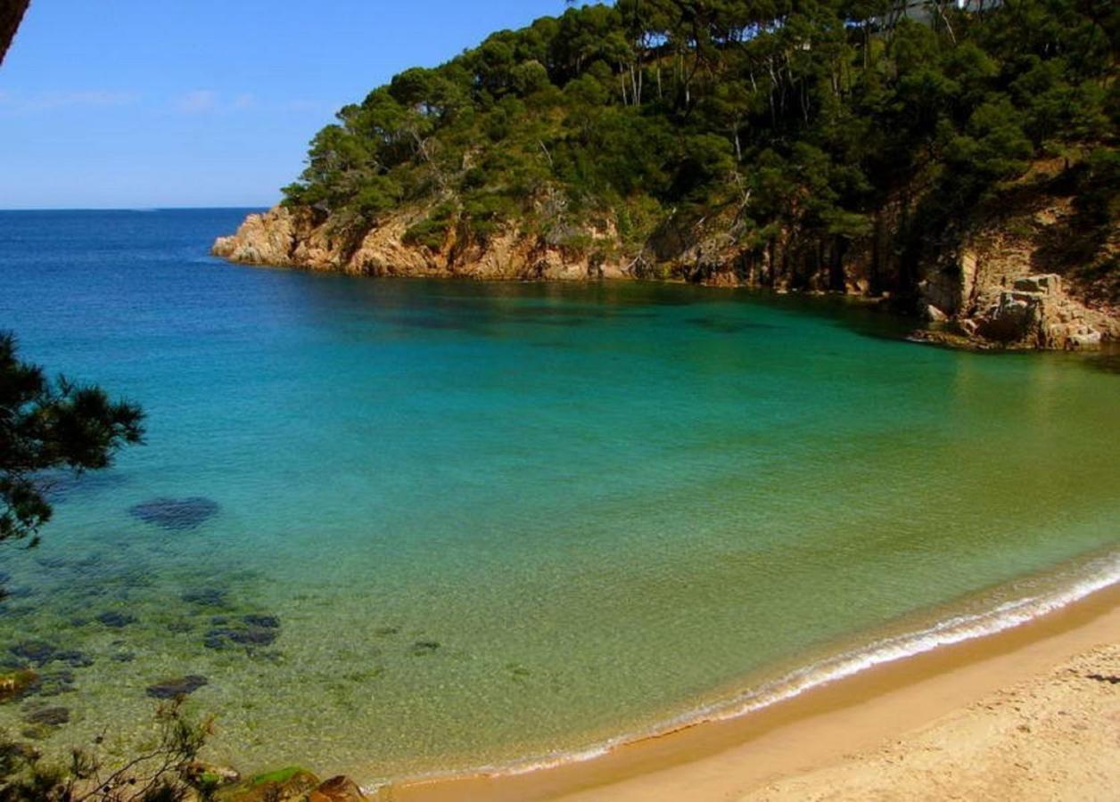 "La Terrasse De La Mer 1" -Climatisation-Wifi-Bbq -Piscine-Parking Begur Zewnętrze zdjęcie